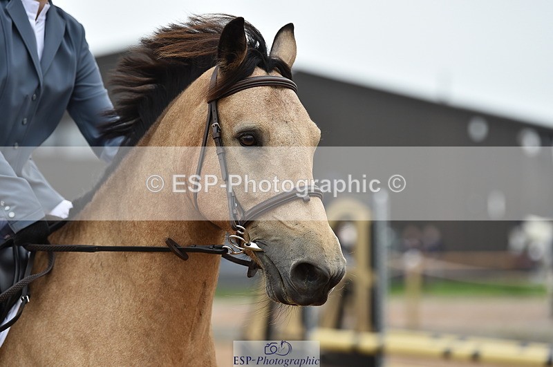 230902A-113724-00776 - Cls 2B Pony Small 80cm