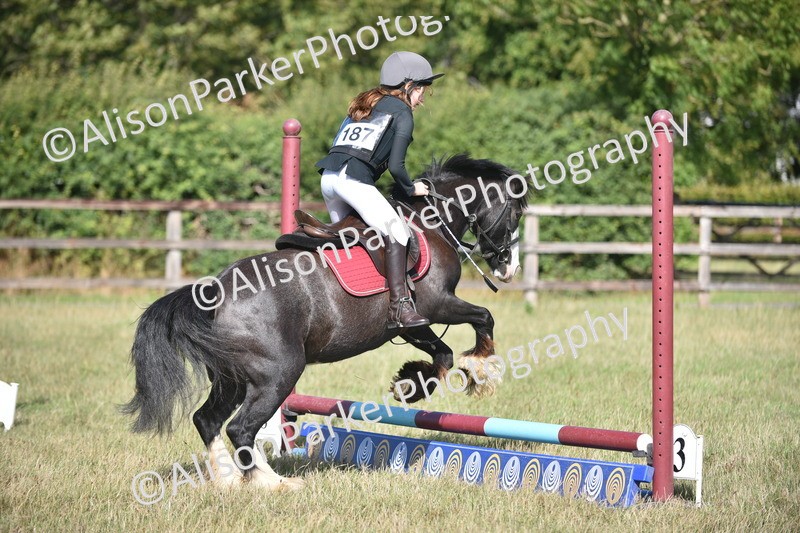 20260906-0942 - Class 7 - Absolute Novice Jumping 35cm