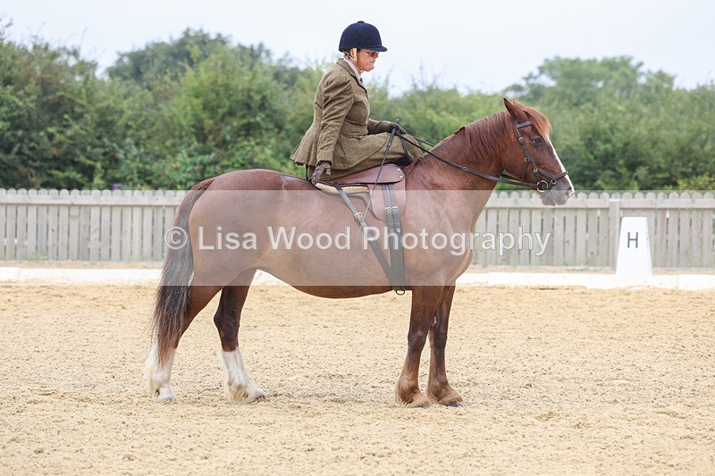 3E7A5502 - Class 2: Intro 4 2024 section B