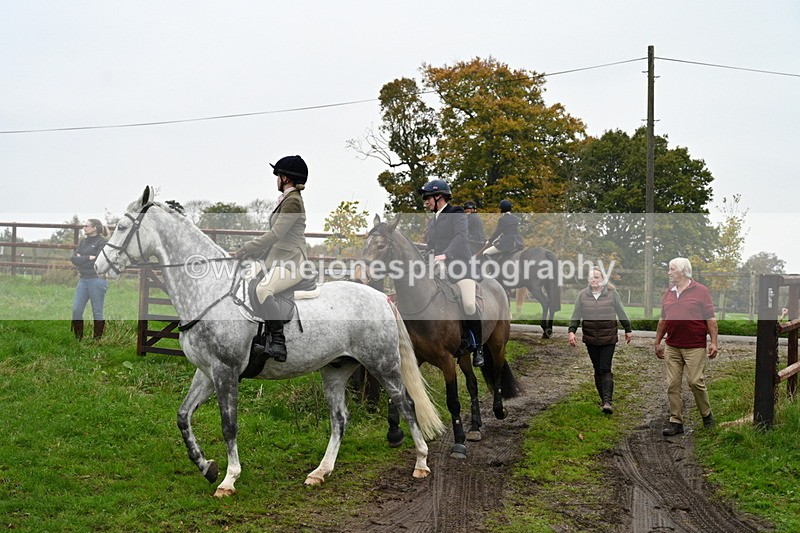 WJ7_7385 - The Meet