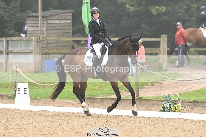 240811-094040-04833 - 119-Alice.Kneen-Dazzling.Springtime