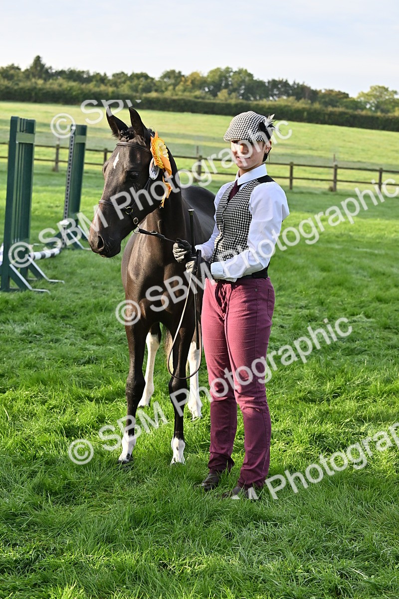 SBM_54644 - S44 - Youngstock In Hand