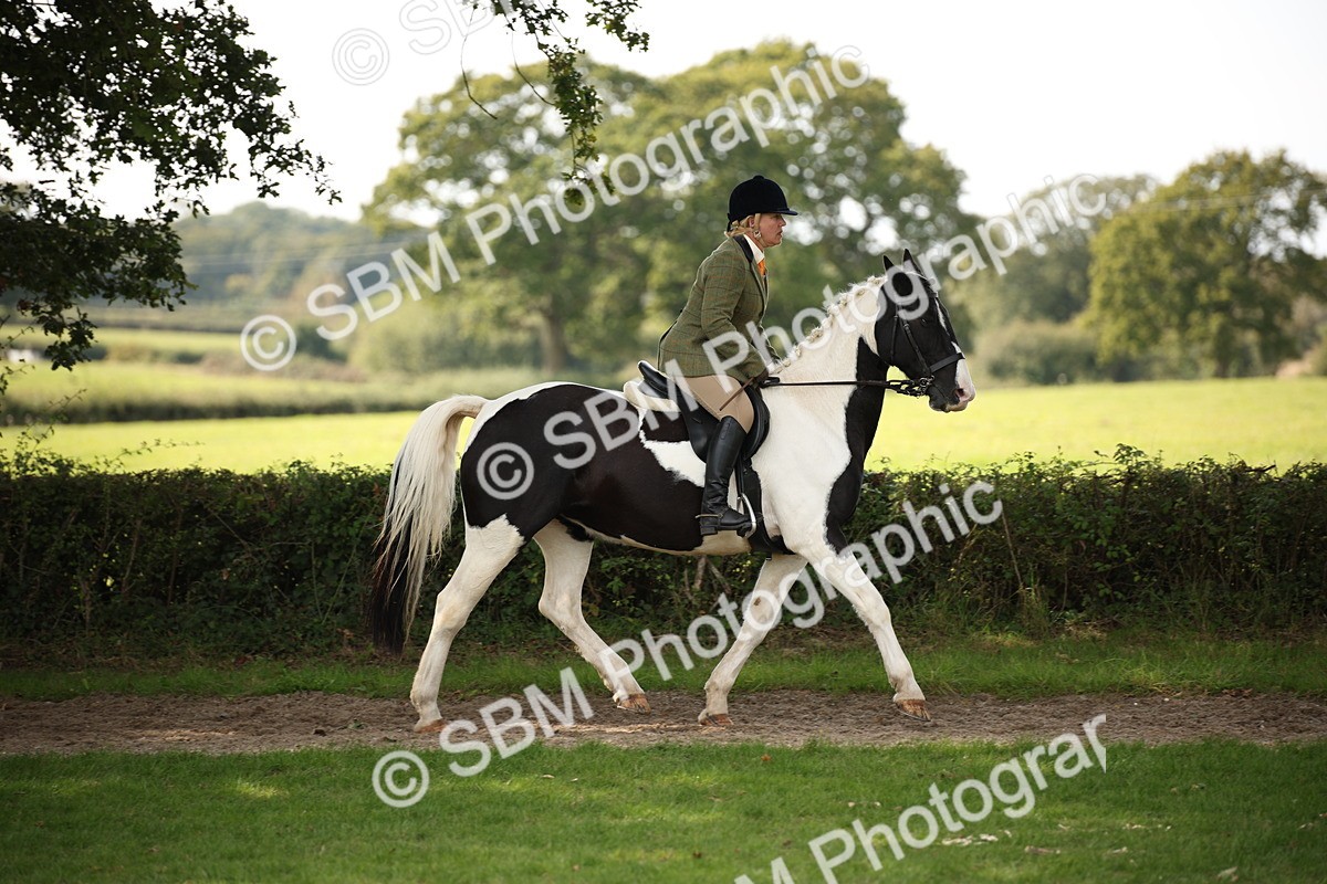 SBM_70074 - S65 - Piebald & Skewbald Horse Ridden