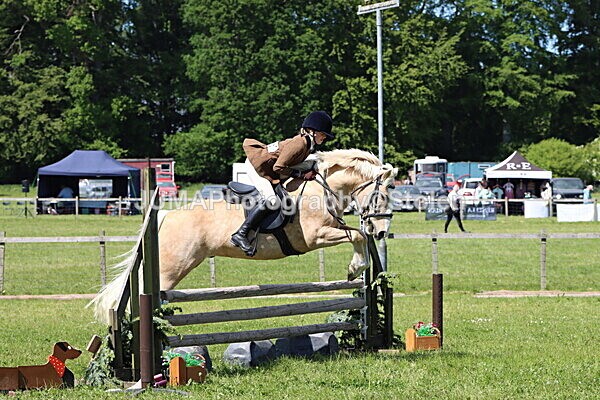 IMG_4262 - Working Hunter