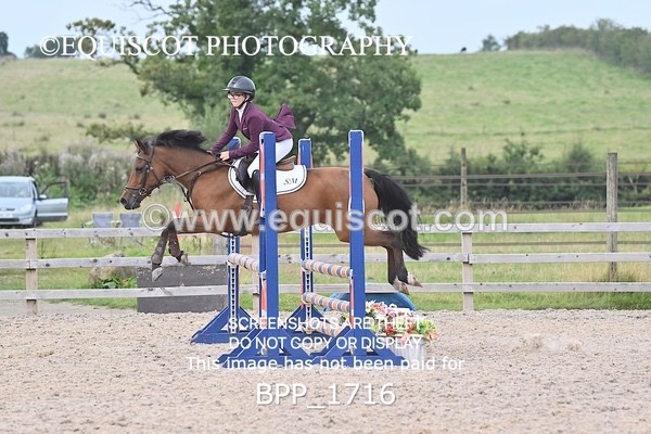 BPP_1716 - CLASS 12 Pony BritiNovice / 0.80m Open
