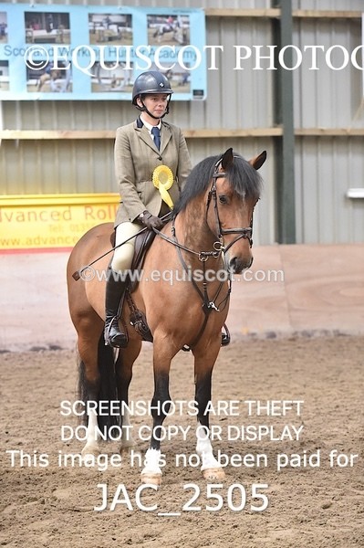 JAC_2505 - CLASS 3 Intermediate Working Hunter