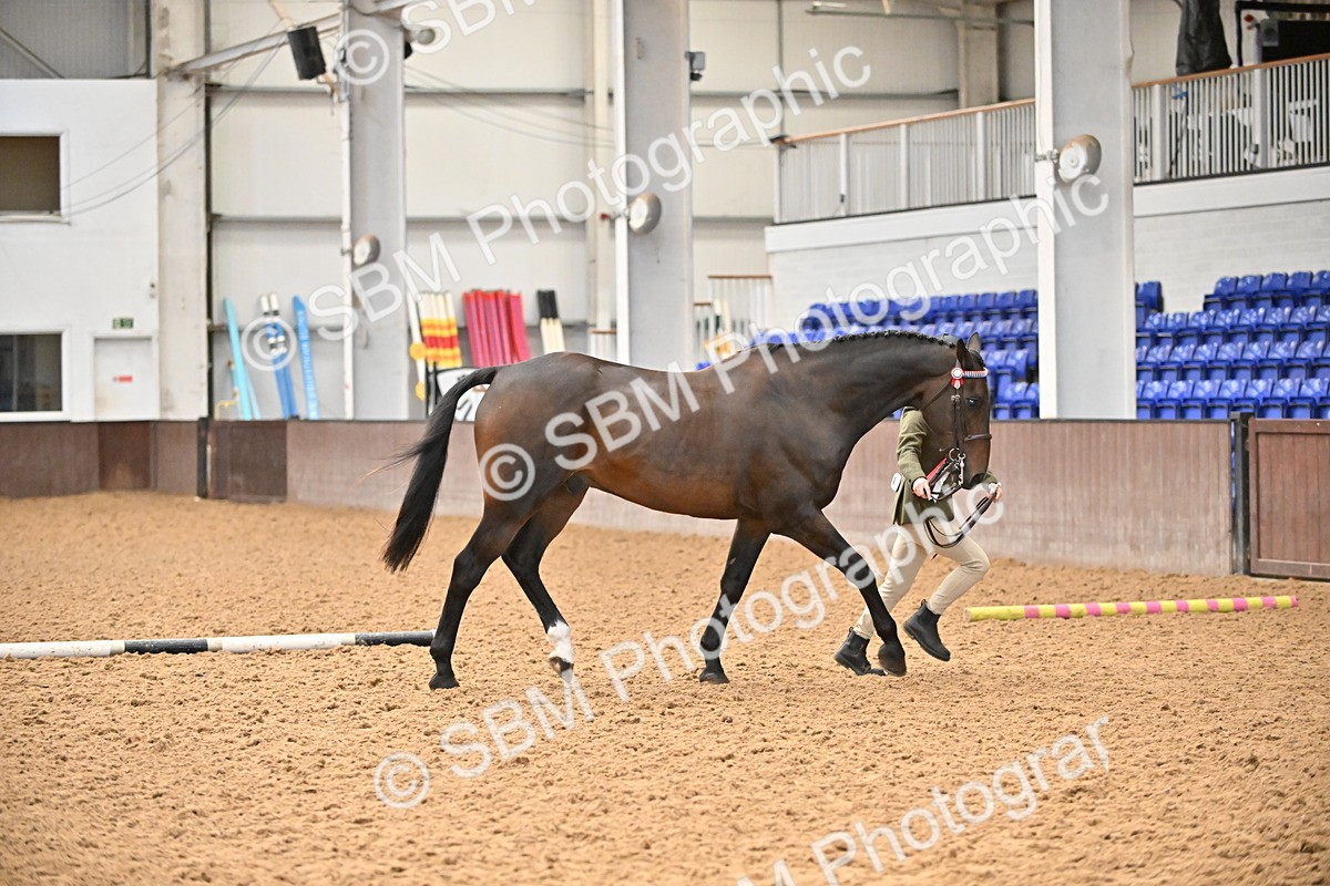 SBM_000732 - Class 14 - SSADL In Hand Championships