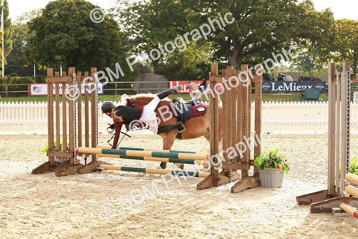 SBM_55690 - J11 - Junior Pony 50cm Championship