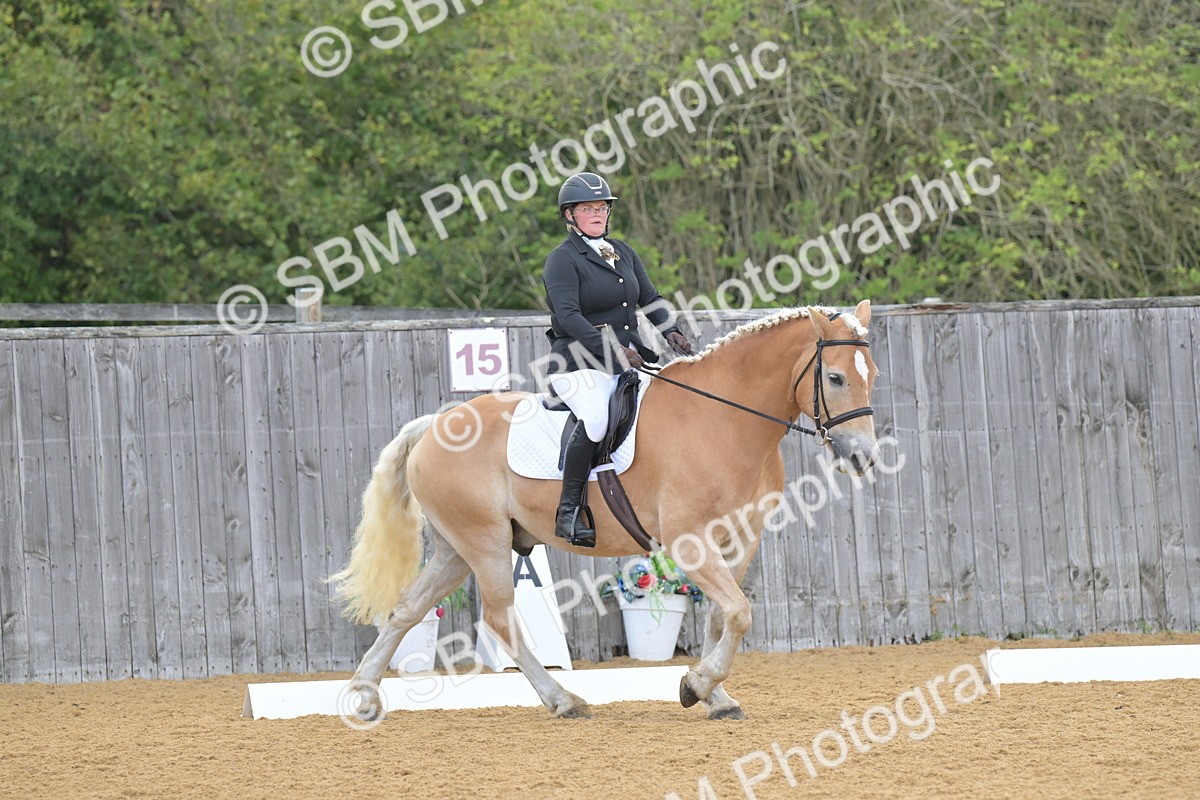 SBM_11158 - D3 - Small Tour Championship Intro 3