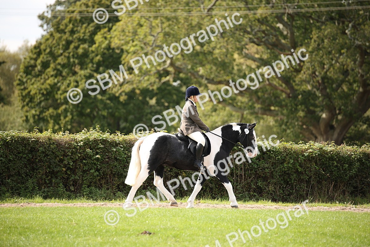 SBM_49970 - S26 - Young Veteran - Ridden