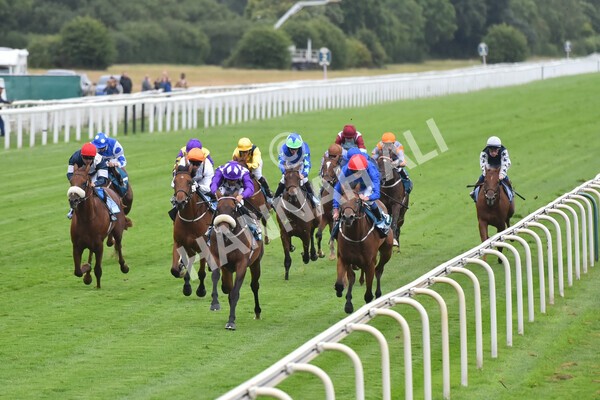 yr22072022r4-36 - Race 4 6.50pm The IRE Incentive It Pays To Buy Irish EBF Restricted Novice Stakes