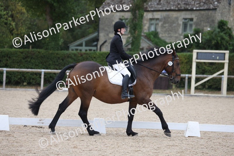 20250820-0344 - Class 11 - My Quest Novice 3