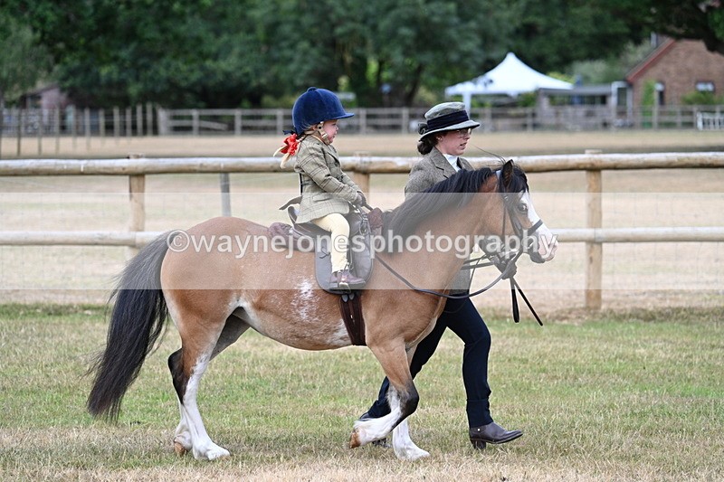 WJ7_9634 - Class 1 Lead Rein Pony