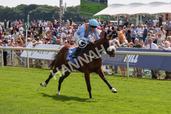 yr08072022r3-15 - Race 3 3.15pm William Hill Play Responsibly Irish EBF Novice Fillies Stakes