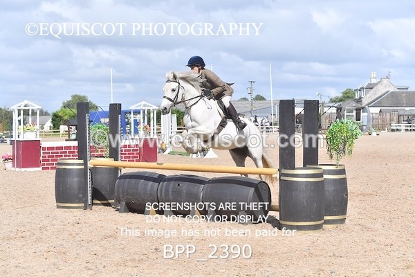 BPP_2390 - DERBY CLASS 7 - 80CM