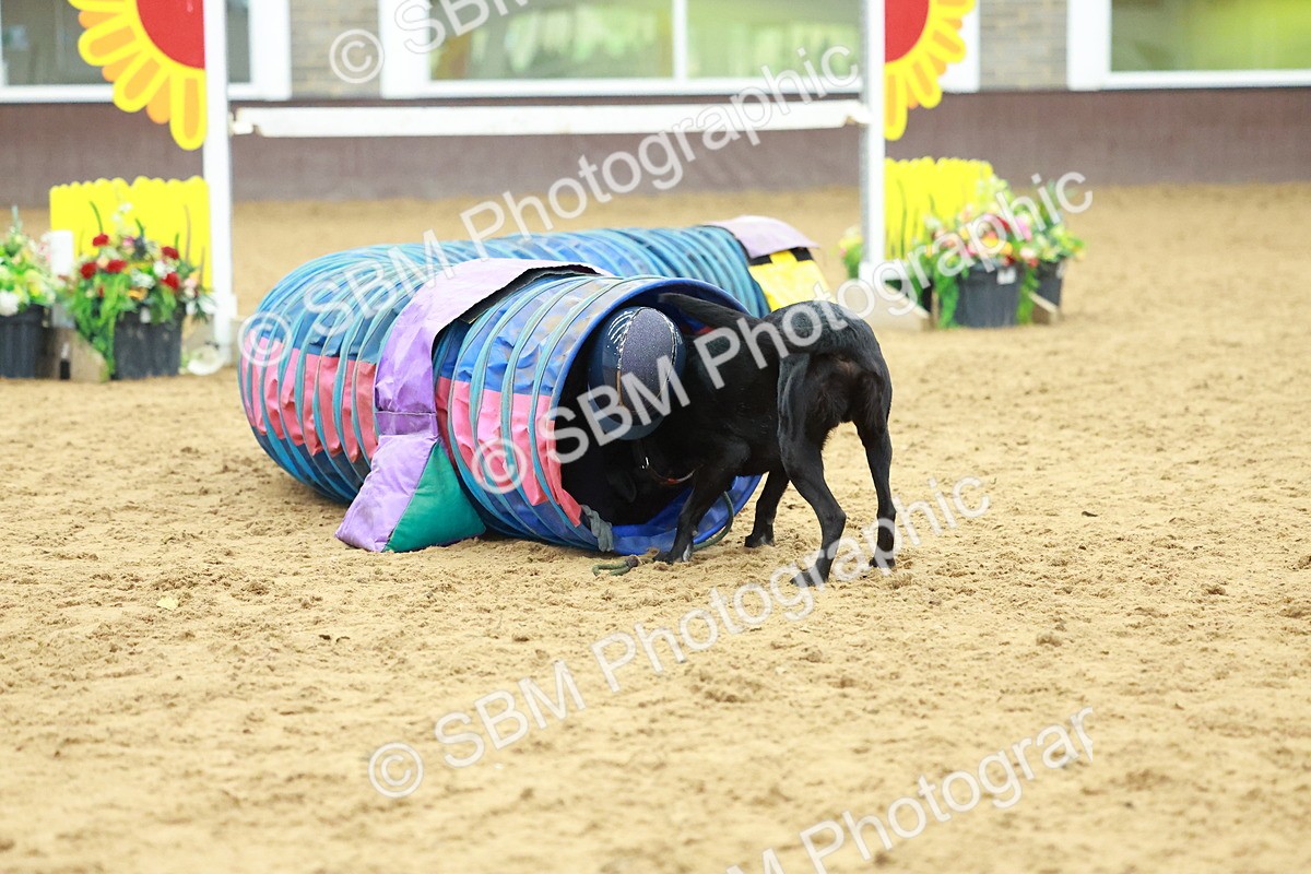 SBM_002581 - Class 3 - Horse & Hound (60cm)
