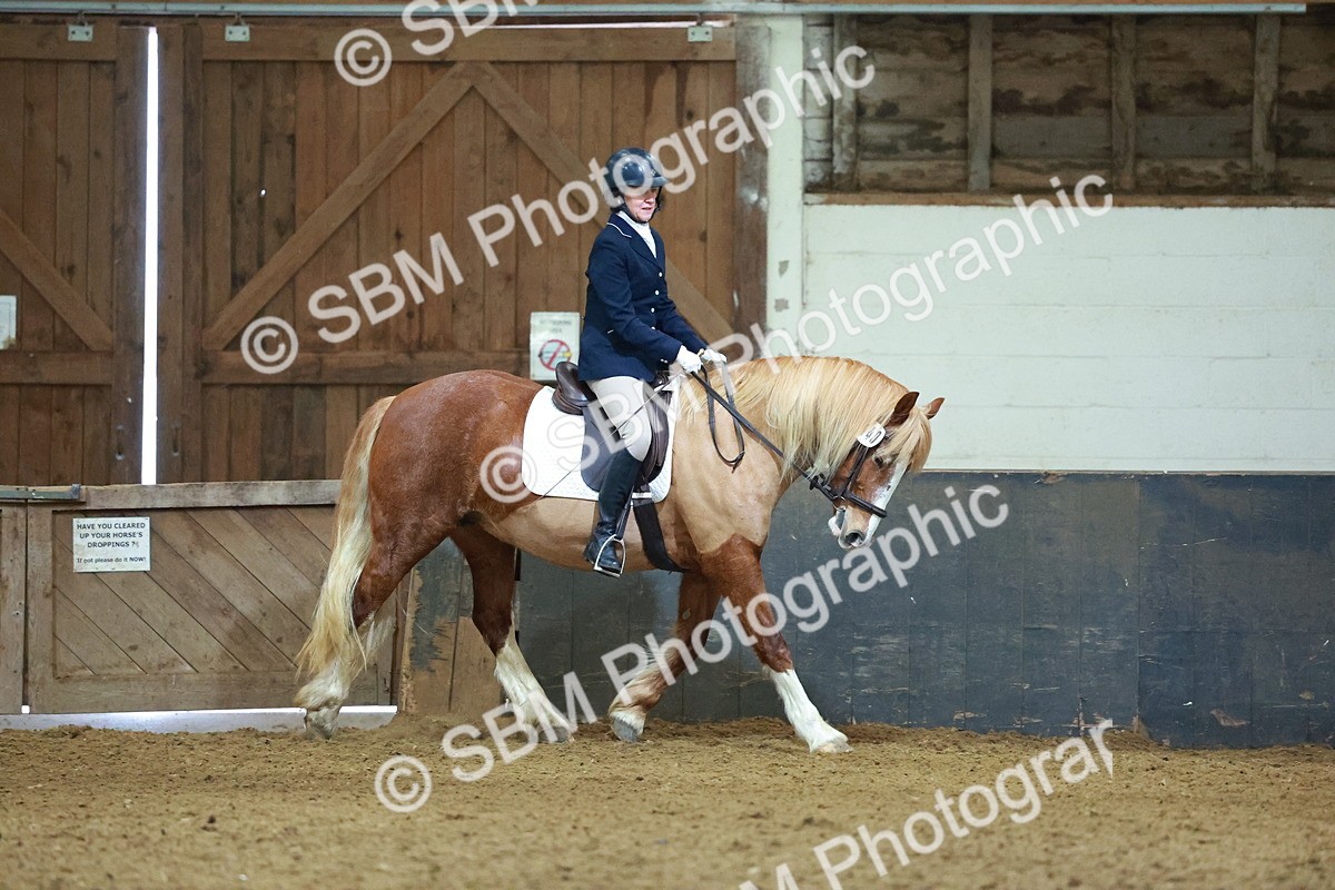 SBM_003637 - Novice 2