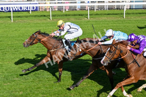 160525-Race 7-Delicacy-7452 - Race 7 5.30pm Yorkshire Equine Practice Handicap