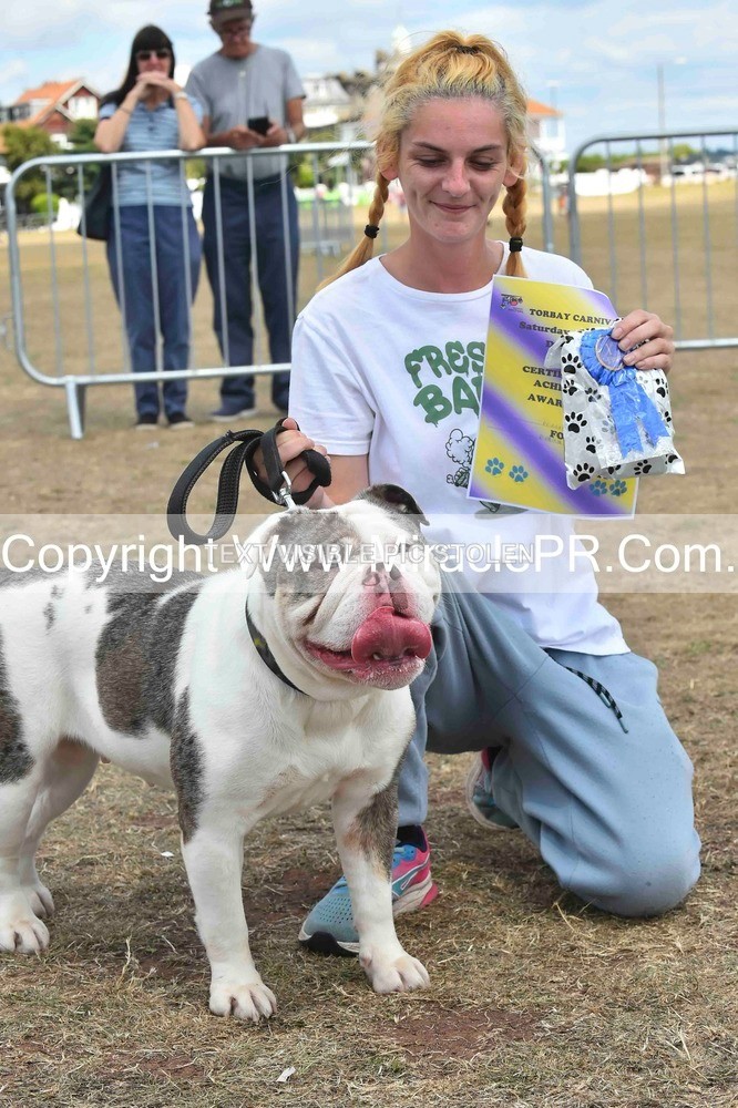 SH4_0205 - Dog show.