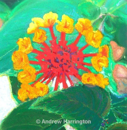 sunrise - Paintings 7