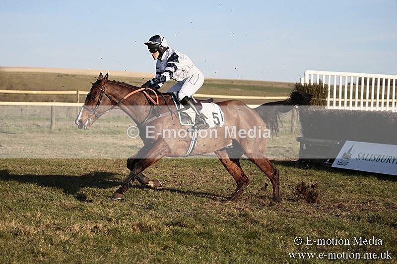 PtP 240218 712 - Vine & Craven Hunt Point-to-Point Barbury racecourse 24/02/18
