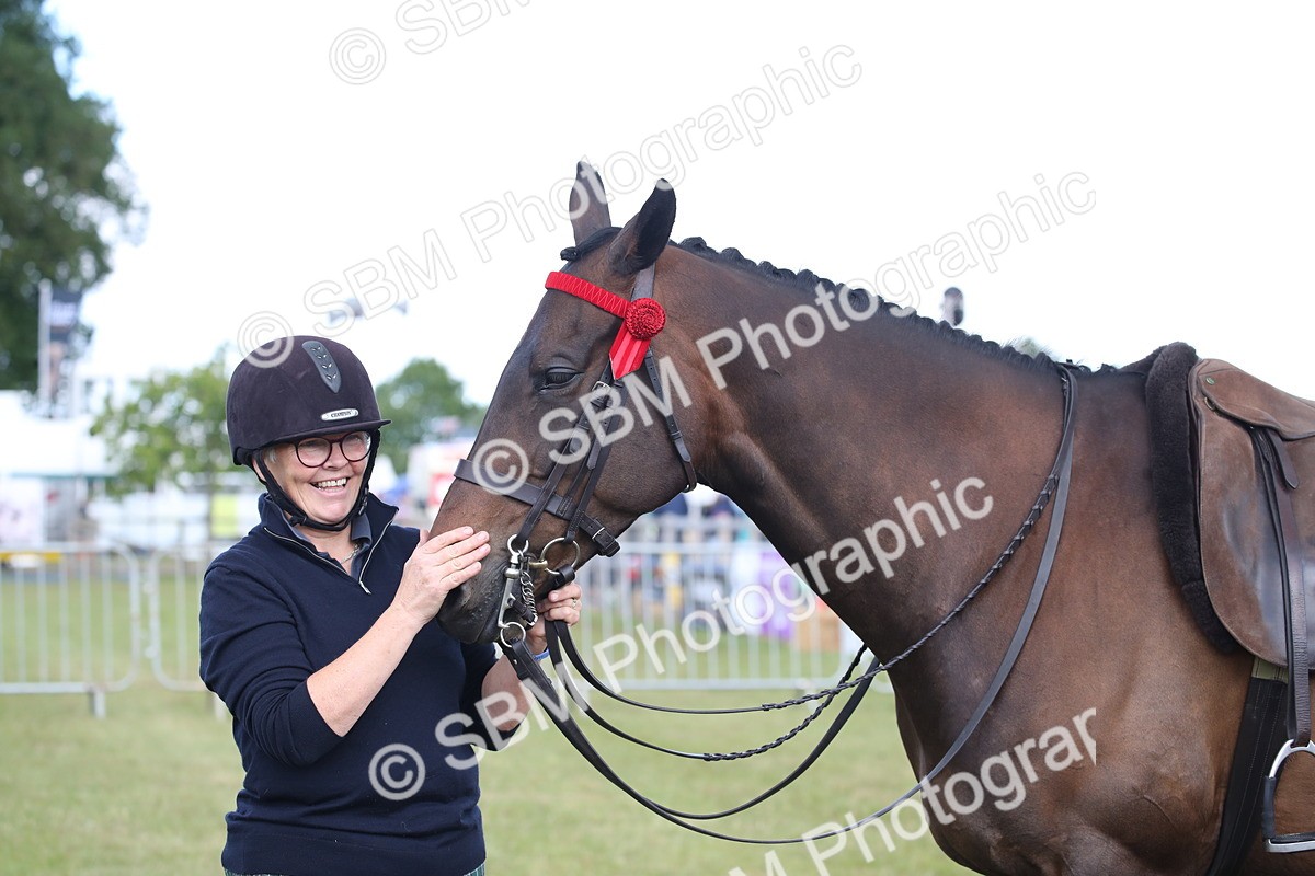 SBM_13266 - Class 95-96 - LIHS BSHA Rising Star Hack Riding Horse