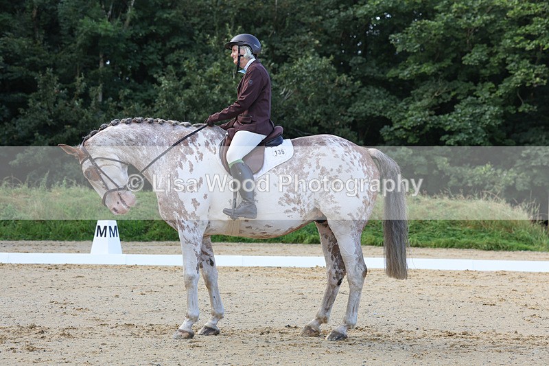 3E7A2428 - Class 1: Intro 4 2024 section A