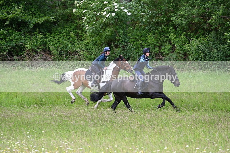 WJ7_8530 - Group 1 10am