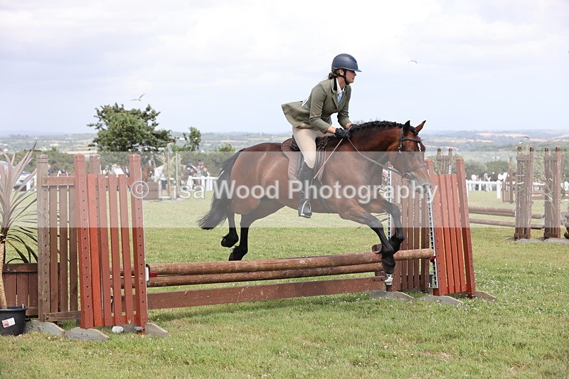 JPP_2041 - Class 19: Working Hunter 60cm