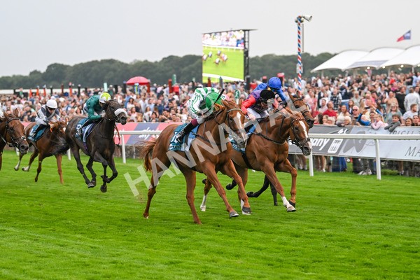 250725-Race 5-Sand Gazelle-6046 - Race 5 7.48pm British EBF Lyric Fillies' Stakes
