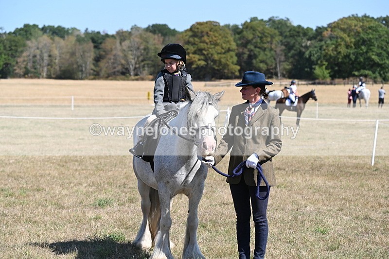 WJ6_8166 - Class 36 Lead Rein