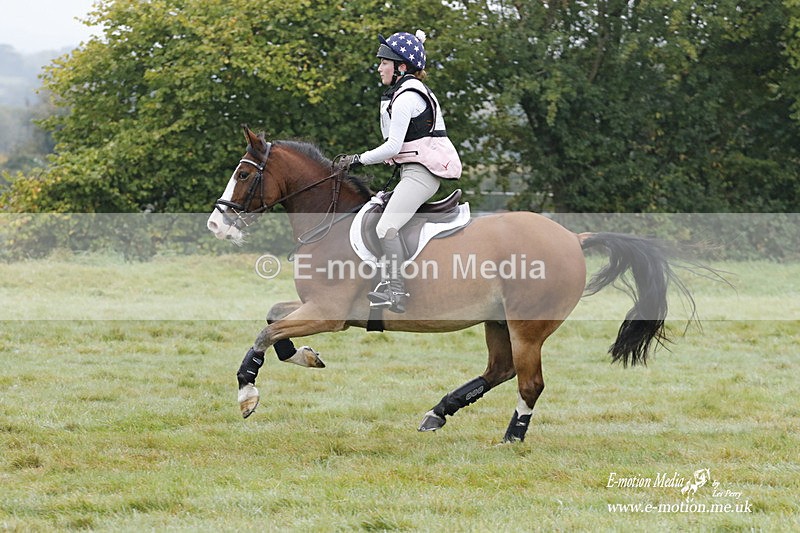 WWHT 171021 0504 - Novice Restricted (0.80m)  17/10/21