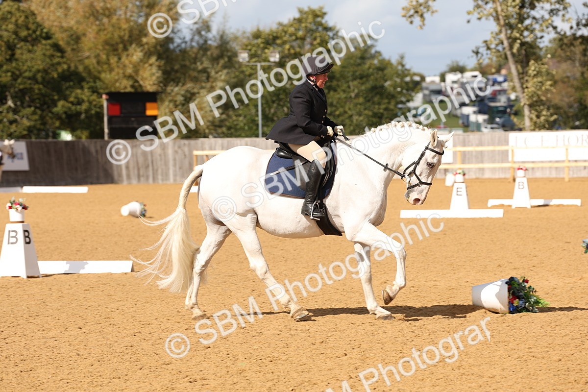 SBM_24531 - D17 - Grand Tour Championship Novice 3