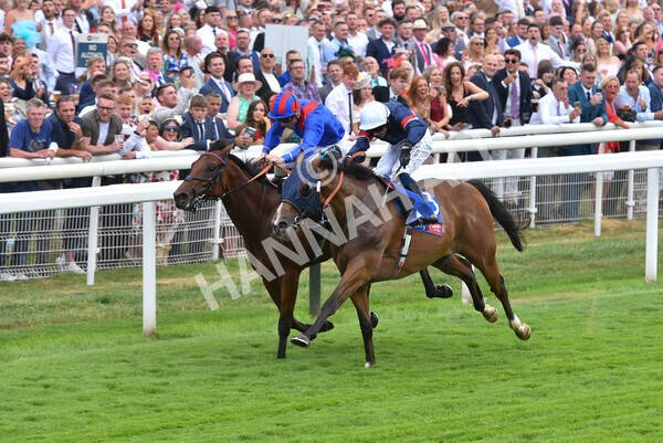 yr23072022r3-33 - Race 3 3.15pm Sky Bet York Stakes