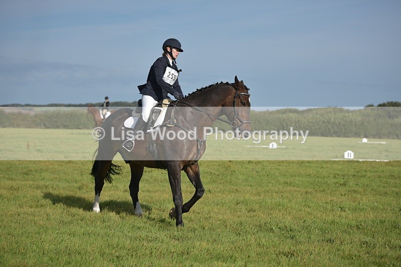 RAY_7494 - Class 2B: Trekenning Open: Dressage