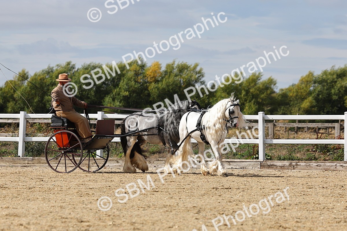 SBM_001227 - Class 16 - Pairs ,Multiples and Tandems