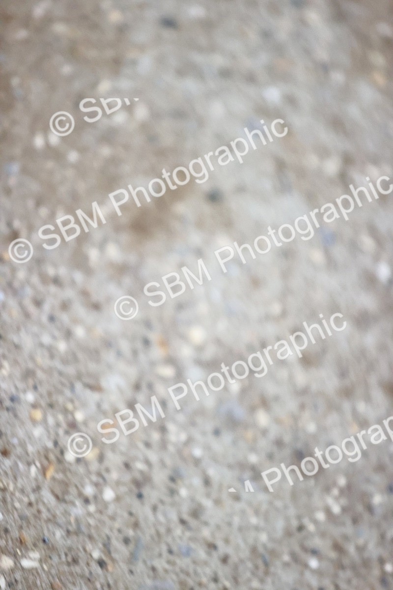 SBM_000896 - Class 2-5-4-6 - Paso Doble-Golega-Novato-Sevilla - FSM