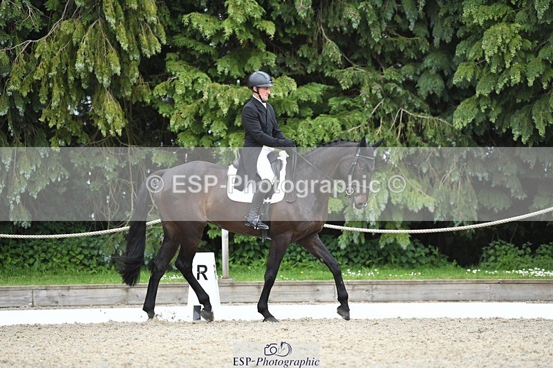 230525-141505-03119 - 319-RINGFORT_REVE_DU_MOULIN-Andrew_Downes-WEDTrotUp+DR