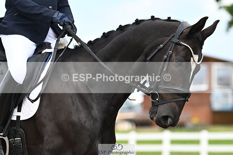 240621A-144545-04337 - Cls 8 BD Elementary 53