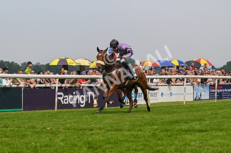 060524-Race 2-Brummell-6000 - Race 2