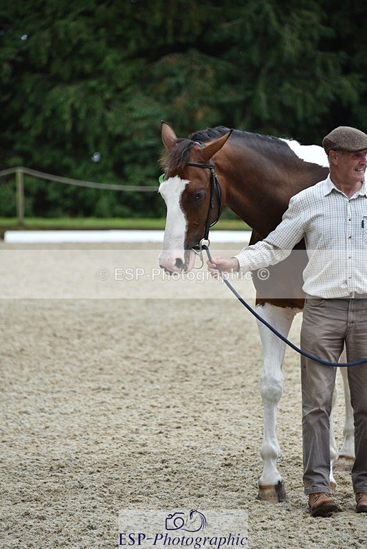 230812-144726-04856 - Novice Silver Presentations