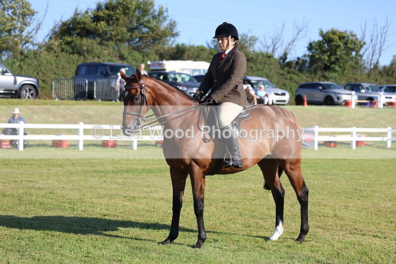 3E7A5095 - Class 1: Rising Star Small Hack/Riding Horses