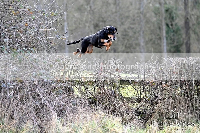IMG_3598 - Berks & Bucks- The Hendred estate at Catmore 01-04-2026