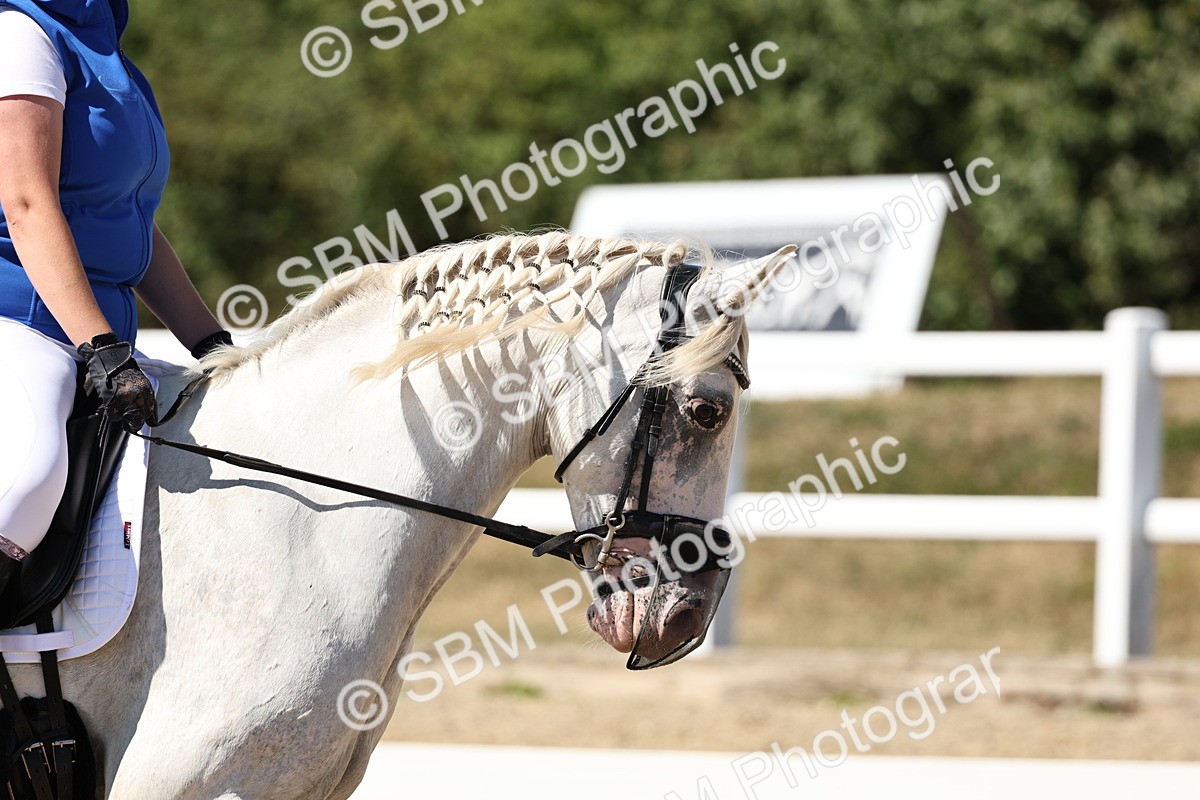 SBM_003237 - Prelim 4 - 13.41-16.04