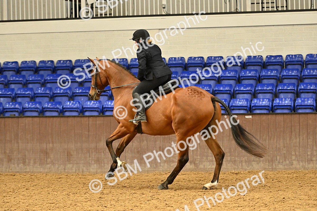 SBM_002002 - Class 24 - BSHA Ridden Racehorse to Show Horse