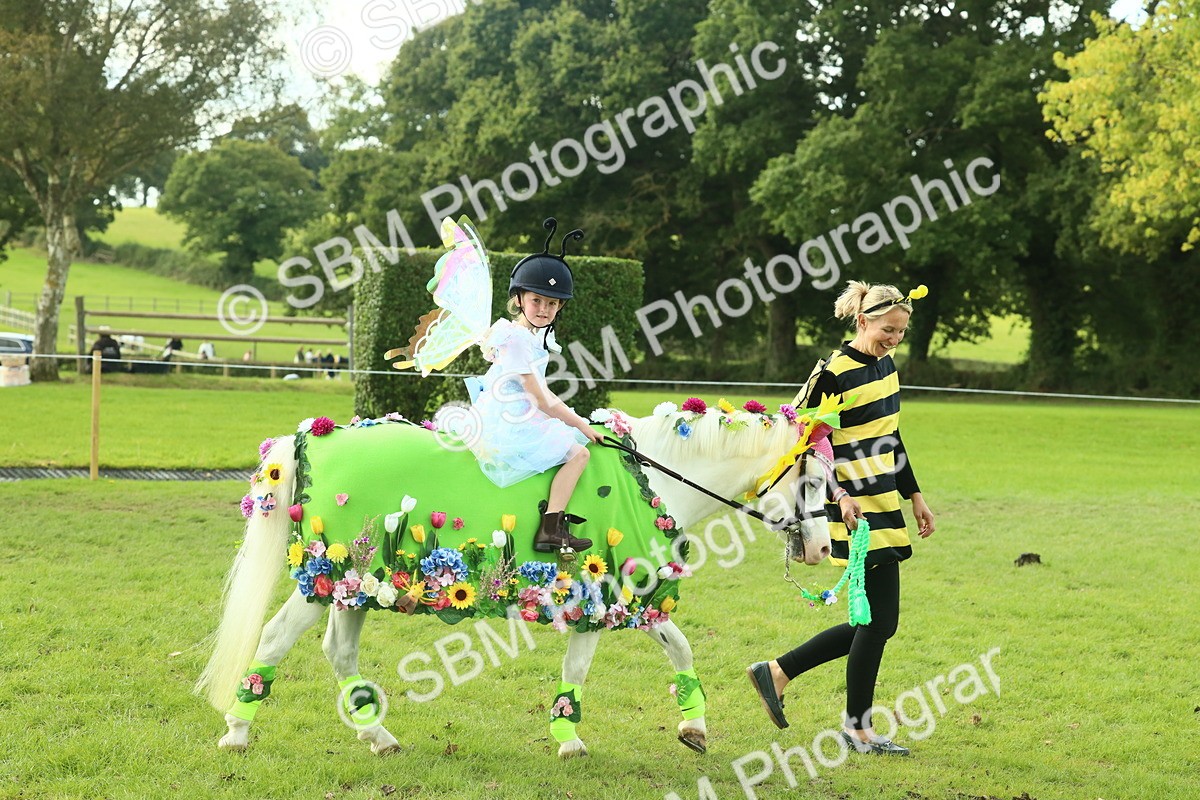 SBM_63495 - S35 - Fancy Dress Showing