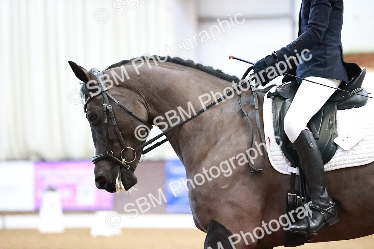 SBM_000646 - Class 8 - Medium 5