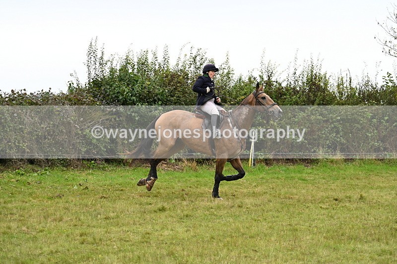 WJ7_4216 - Camera 1 Line 2