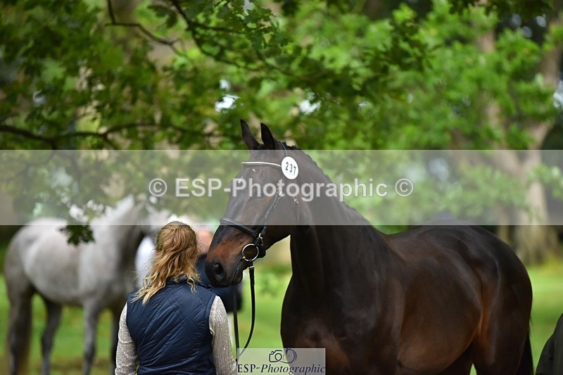 240522-170404-01360 - 237-UNDERDOG_Z-Izzy_Taylor