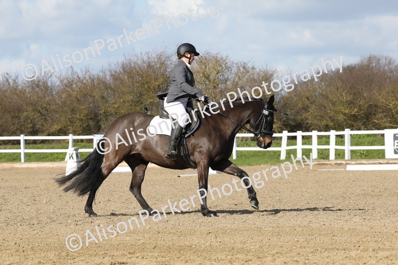 20260314-4873 - CT6 - Elementary 1